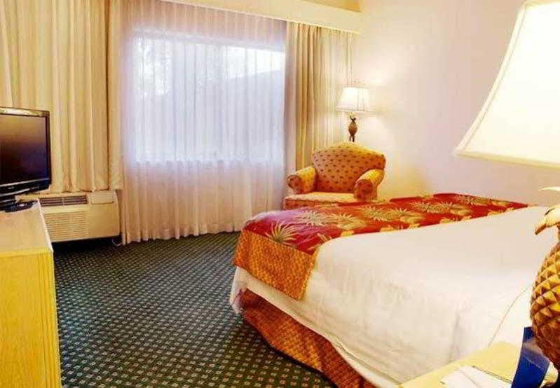 Courtyard By Marriott Fort Lauderdale Coral Springs Exteriör bild